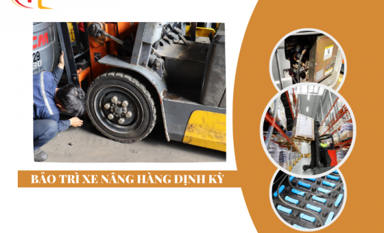 Bảo trì xe nâng hàng định kỳ -Tầm quan trọng và hướng dẫn chi tiết